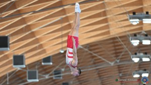 aere trampoline cup tra tum dmt ph by tomasi simone ferraro   fgi 